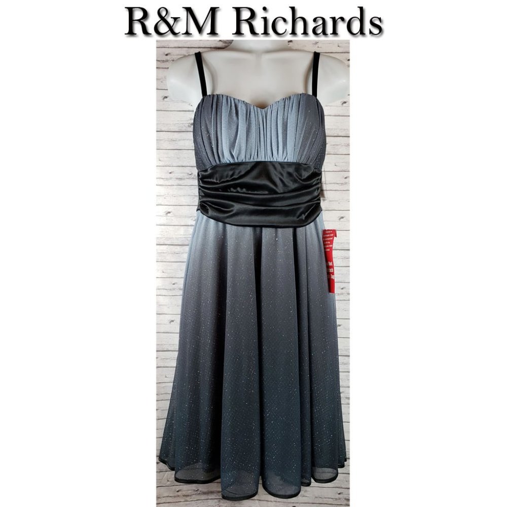 R&M Richards Dress Size 6 NWT